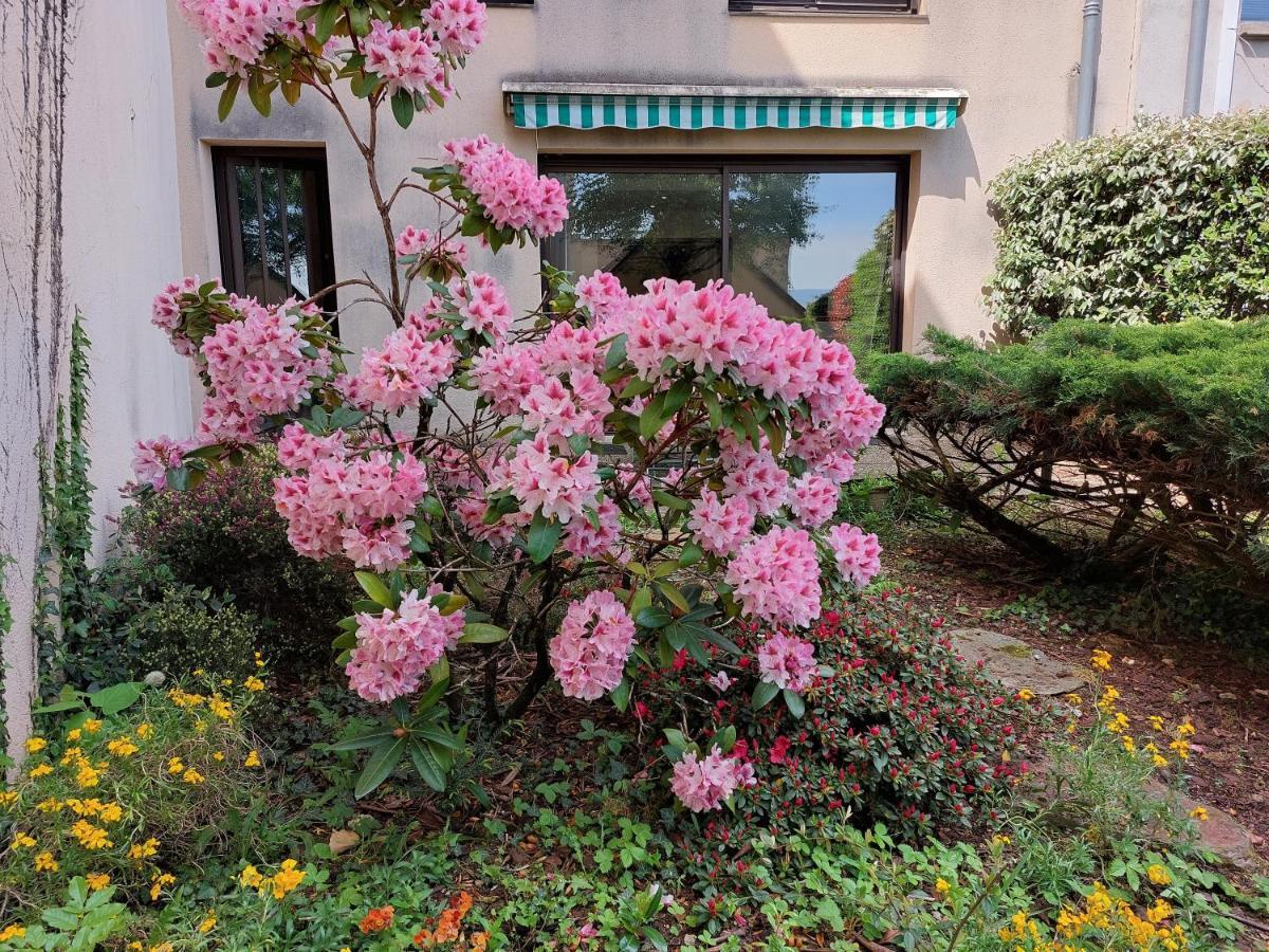 ロデーズLe Denyspuech 55M2 Plein Centre Avec Jardin!アパートメント エクステリア 写真